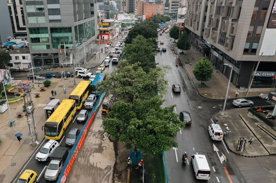 Opinión: El urbanismo de la motosierra y el aval de la Secretaría de Ambiente